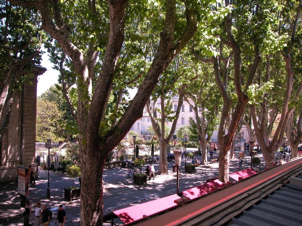Hotel Alizea Avinyon Dış mekan fotoğraf